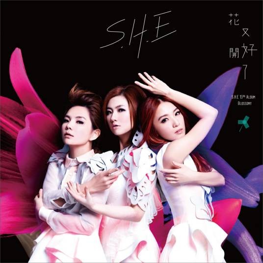 不说再见（S.H.E演唱歌曲）