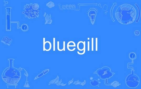 bluegill