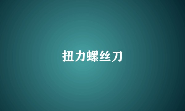 扭力螺丝刀