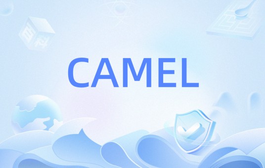 CAMEL（骆驼命名法）