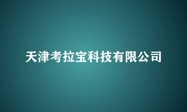 天津考拉宝科技有限公司