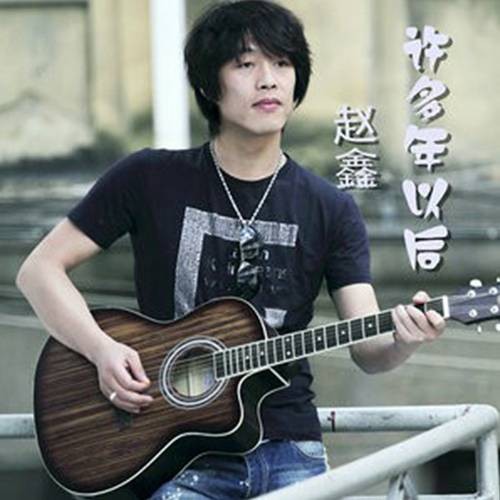许多年以后（赵鑫演唱歌曲）