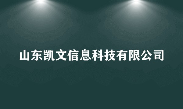 山东凯文信息科技有限公司