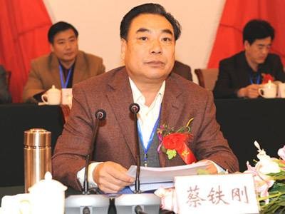 蔡铁刚
