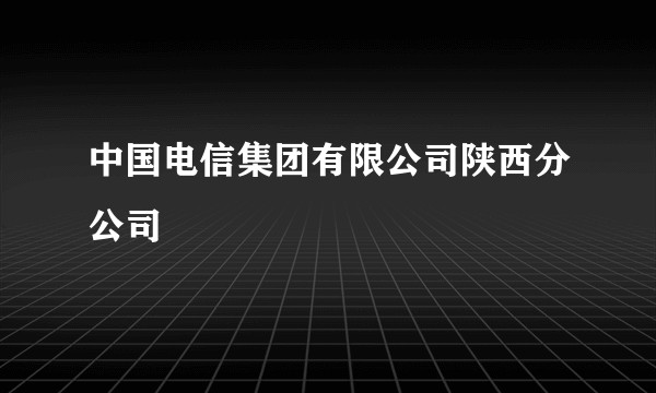 中国电信集团有限公司陕西分公司