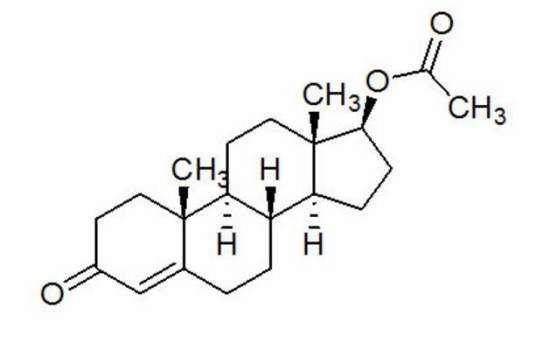 睾丸激素