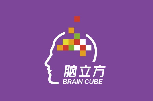 上海脑立方文化传播有限公司