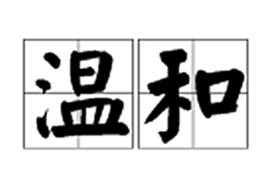 温和（汉语词语）