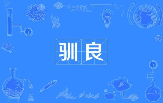 驯良