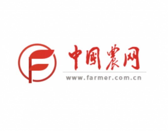 中国农网