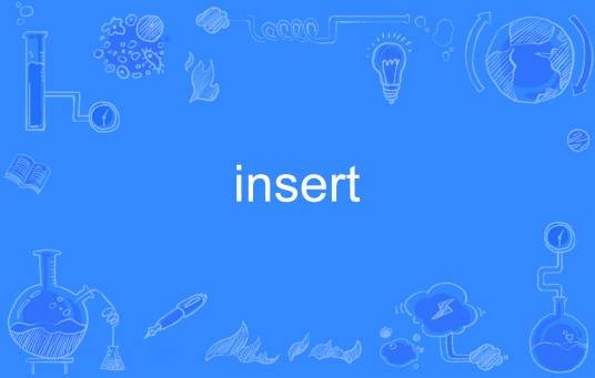 insert（英语单词）