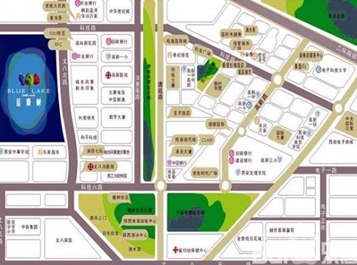 天朗蓝湖树