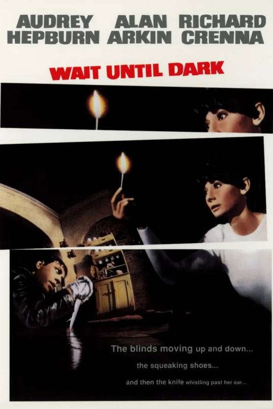 盲女惊魂记（1967年美国特伦斯·杨执导的犯罪片）