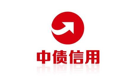 中债信用增进投资股份有限公司