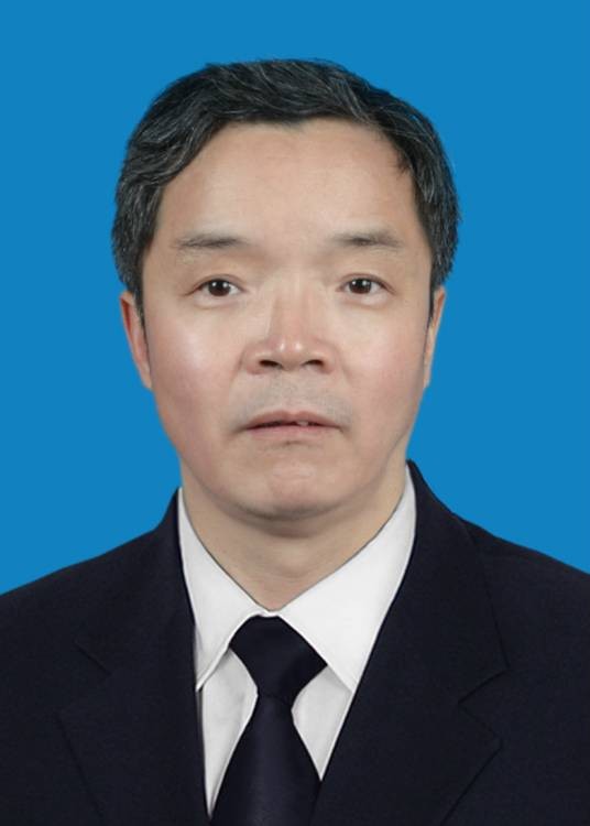 曹伟（郑州大学教授）