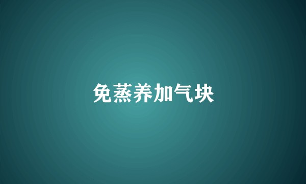 免蒸养加气块