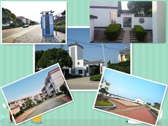 乌池村（安徽省宿松县洲头乡下辖村）