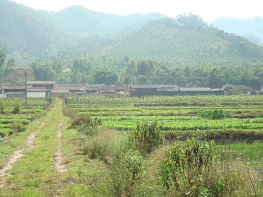 龙家营村（云南普洱景东县文井镇下辖村）