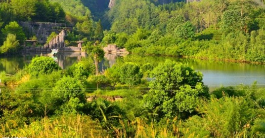 武夷山人才网
