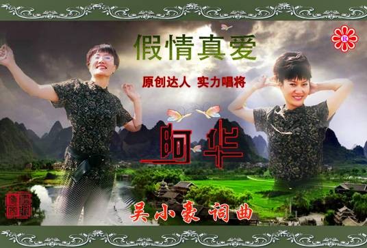 假情真爱(阿华2010年发行的专辑)
