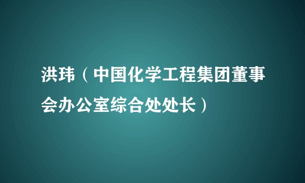 洪玮（中国化学工程集团董事会办公室综合处处长）