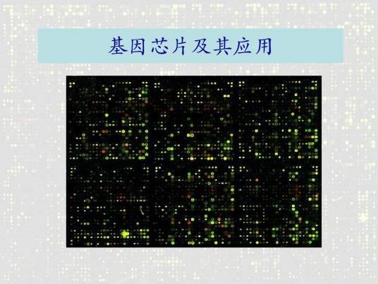 DNA芯片技术