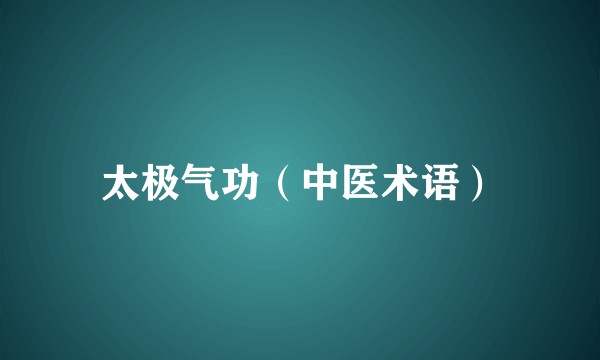 太极气功（中医术语）