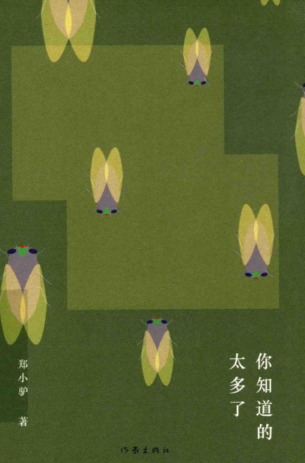 你知道的太多了（郑小驴创作的散文集）