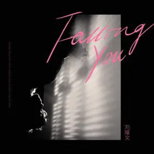 Falling You（刘耀文演唱歌曲）