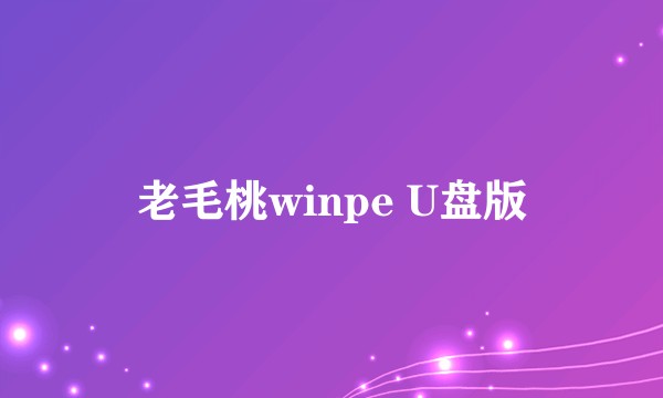 老毛桃winpe U盘版