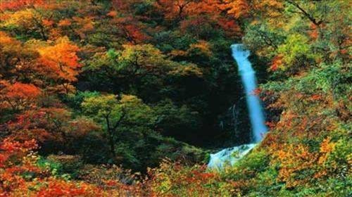 东拉山大峡谷