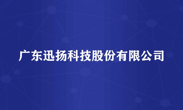 广东迅扬科技股份有限公司