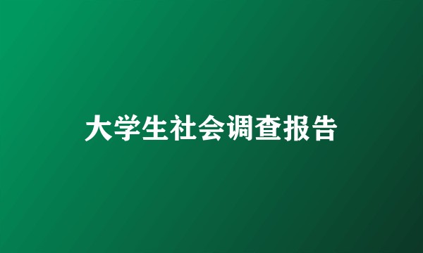 大学生社会调查报告