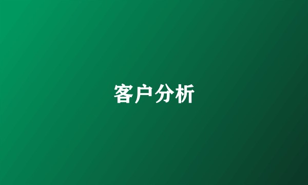 客户分析