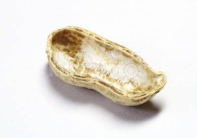 花生壳（花生的果壳）