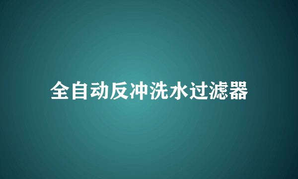 全自动反冲洗水过滤器