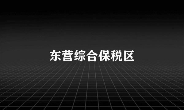 东营综合保税区
