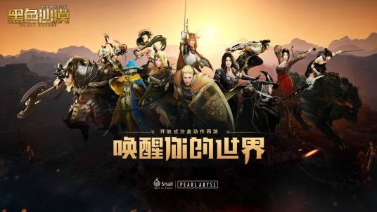 黑色沙漠（2013年韩国游戏开发商PearlAbyss开发的网游）