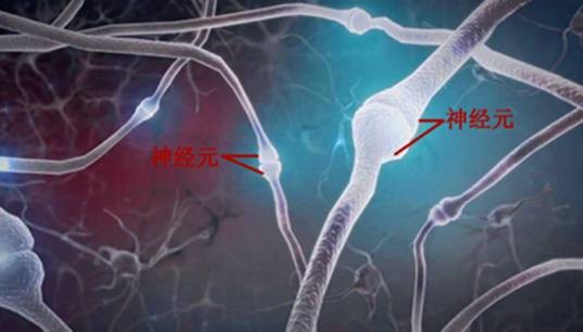 大脑异常放电