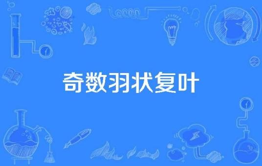 奇数羽状复叶