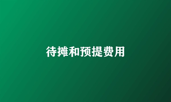 待摊和预提费用