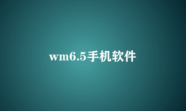 wm6.5手机软件