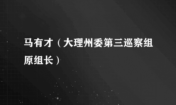 马有才(大理州委第三巡察组原组长)