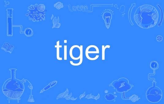 tiger（英语单词）
