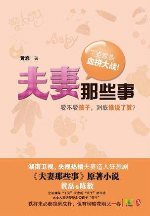 夫妻那些事（黄霁所著小说）