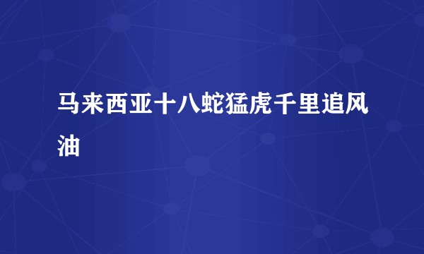 马来西亚十八蛇猛虎千里追风油
