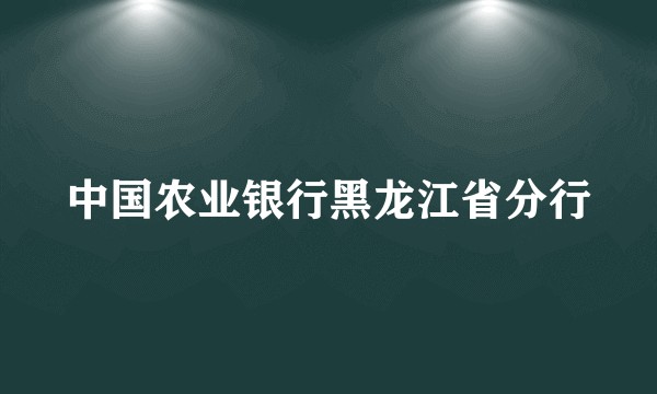 中国农业银行黑龙江省分行
