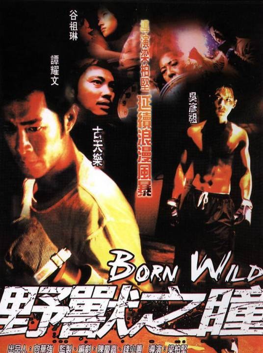 野兽之瞳