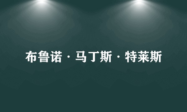 布鲁诺·马丁斯·特莱斯