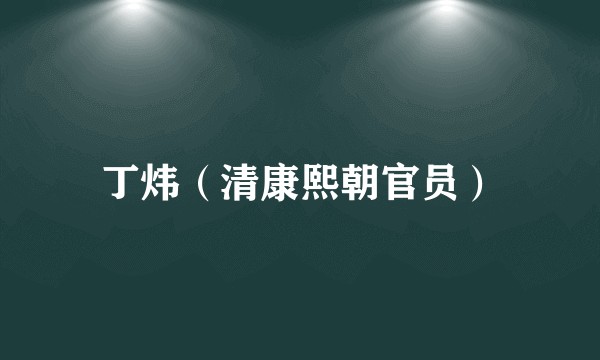 丁炜（清康熙朝官员）